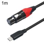 Cable de audio TY03RE tipo C macho a XLR hembra para micrófono dinámico, 1m