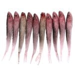 10 piezas pequeñas lentejuelas forma de pez señuelos de pesca cebo de pesca artificial, longitud: 12,5 cm