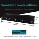 100W 2 en 8 Amply Amply Amplificador de altavoz de altavoz - Imagen 2