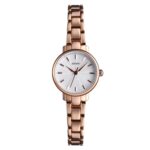 Skmei 1410 Lady Reloj de cuarzo Reloj de moda europeo y americano Negocios Ocio Cinturón de acero Reloj de señora