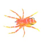H Eng J IA 8 smart 7G Lua spider cebo blando bionic Mimi CBA IT, 1