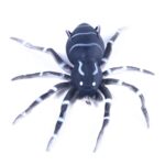 H Eng J IA 8 smart 7G Lua spider cebo blando bionic Mimi CBA IT, 4 - Imagen 2