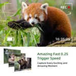 Control remoto de seguimiento al aire libre del teléfono de la aplicación de la cámara de caza 4K para ver fotos/vídeo en cualquier momento, WiFi801Pro - Imagen 4