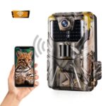 Operación remota del teléfono con aplicación de cámara de caza de seguimiento al aire libre 4K para ver fotos/vídeos en cualquier momento, WiFi900Pro