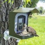 BC303 Alimentador de pájaros Cámara de rastreo al aire libre Cámara de observación de aves con sensor de movimiento