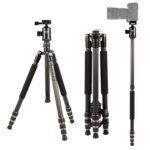 Trípode de fibra de carbono portátil ajustable TRIOPO 853 con rótula D2-A para cámara SLR