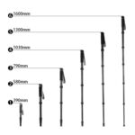 BEXIN P306C Soporte monopié de fibra de carbono para cámara DSLR portátil de viaje al aire libre, P306C - Imagen 4