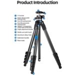 BEXIN TA255-BS30 Portable Collapsible Aluminum Alloy Camera Tripod with Head, TA255-BS30 - Imagen 3