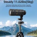 BEXIN TA255-BS30 Portable Collapsible Aluminum Alloy Camera Tripod with Head, TA255-BS30 - Imagen 5