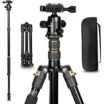 TRIOPO K2508S+B1S Trípode portátil ajustable de aleación de aluminio con cabezal esférico para cámara SLR, K2508S+B1S (Gold)