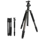 Cámara de disparo estable del trípode de fibra de carbono Bexin W324C G44 para la cámara DSLR del punto de video - Imagen 2