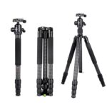 Trípode fotográfico profesional de fibra de carbono BEXIN W284C H36 para cámara DSLR - Imagen 2