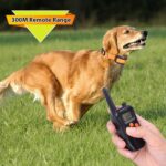 998DC Bark Stopper Control remoto Choque eléctrico Collar Dispositivo de entrenamiento para perros, US Plug - Imagen 5