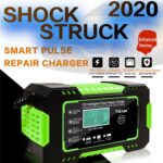 Cargador inteligente de batería de motocicleta / automóvil con pantalla LCD, JP Plug - Imagen 4