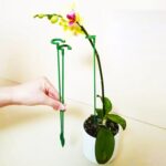 10 Uds. Varilla de soporte en forma de flor en maceta marco fijo de protección contra hojas, 27cm - Imagen 5