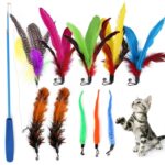 11 en 1 cabeza de repuesto de pluma retráctil Cat Teaser Stick
