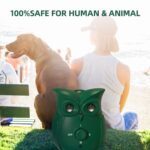 Dispositivo de entrenamiento para perros con doble dispositivo antiladridos ultrasónico K16 - Imagen 6