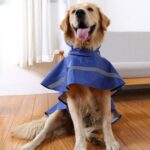Teddy Golden Retriever Perro Grande Práctico Impermeable Reflectante Transpirable, Tamaño: XS, XS