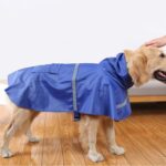 Teddy Golden Retriever Perro Grande Práctico Impermeable Reflectante Transpirable, Tamaño: XS, XS - Imagen 2