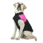 Traje de esquí con chaleco de algodón para perros, talla: 4XL, pecho: 63 cm, largo de espalda: 55 cm, Size: 4XL