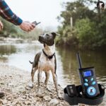 Collar automático antiladridos Sistema de control de entrenamiento para mascotas + Collar de cuero PU de choque eléctrico para perros