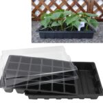 Bandeja de plántulas, plato de brotes, 24 agujeros, macetas de vivero, bandeja con tapas, caja para jardinería, bonsái, Mini plato de vivero de invernadero, tres juegos