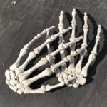 Un par de accesorios de decoración de casa embrujada de manos de esqueleto de Halloween, tamaño: 15,5 x 10 cm - Imagen 3