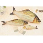 Simulación Juguete de pescado Funny Gat Toy Fish Caterino rascado Postón Juguete, tamaño medio: 41.0 x 13.5 x 9.0 cm - Imagen 5