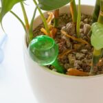 Dispositivo de riego automático con forma de bola de 3 piezas Dispositivo de riego para jardinería Dispositivo de riego en macetas con flores