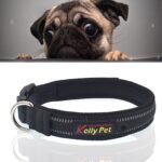 Perros de compañía Poliéster Reflectante Transpirable Mascotas Collar Correa de tracción, Tamaño: L, 2.5 * 47 * 54 cm, Size: L, 2.5*47*54cm