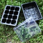 5 uds bandeja de plántulas plato de brotes 12 agujeros macetas de vivero bandeja tapas caja para jardinería bonsái Mini plato de vivero de invernadero, 12 Holes - Imagen 4