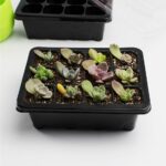 5 uds bandeja de plántulas plato de brotes 12 agujeros macetas de vivero bandeja tapas caja para jardinería bonsái Mini plato de vivero de invernadero, 12 Holes - Imagen 5