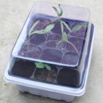 5 uds bandeja de plántulas plato de brotes 12 agujeros macetas de vivero bandeja tapas caja para jardinería bonsái Mini plato de vivero de invernadero, 5pcs 12 Holes