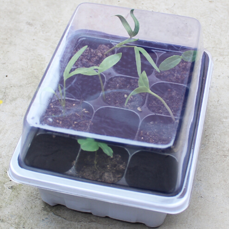 HC9870W.jpg 5 uds bandeja de plántulas plato de brotes 12 agujeros macetas de vivero bandeja tapas caja para jardinería bonsái Mini plato de vivero de invernadero, 5pcs 12 Holes - Imagen 1