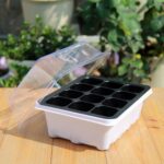 5 uds bandeja de plántulas plato de brotes 12 agujeros macetas de vivero bandeja tapas caja para jardinería bonsái Mini plato de vivero de invernadero, 5pcs 12 Holes - Imagen 2