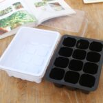 5 uds bandeja de plántulas plato de brotes 12 agujeros macetas de vivero bandeja tapas caja para jardinería bonsái Mini plato de vivero de invernadero, 5pcs 12 Holes - Imagen 3