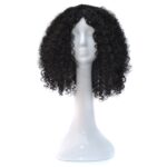 T191006 Peluca europea y americana con pelo corto y rizado pequeño para mujer