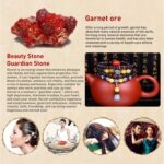 Accesorio de joyería de moda Pulsera de cuentas de granate, Red Agate & Buddha Head - Imagen 4