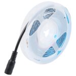4:1 luz de cuerda desnuda del tablero 5050 SMD RGB LED de los 2m, 12V 2A 100-240V, 5050 SMD RGB LED