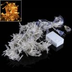 Cadena de luces de cortina de 300 LED con junta final, controlador multifunción y memoria a prueba de agua, enchufe de EE. UU., CA 110 V, Warm White US Plug