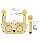 SD-306 2 en 1 Familia KTV Micrófono dual inalámbrico portátil en vivo + Altavoz Bluetooth, SD-306(Black), SD-306(Pink), SD-306(Gold) - Imagen 5