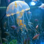 3 PCS Artículos de acuario Decoración Simulación de silicona Medusas lechón fluorescentes, Tamaño: 5 * 17 cm, 5cm