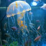 Artículos para acuarios Decoración Simulación de silicona Medusas lechón fluorescentes, Tamaño: 8 * 20 cm, 8cm