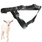 Juego de localizador de perros de caza pequeños y ovejas grandes V34/V44, dispositivo antipérdida, juego de Collar de posicionamiento GPS