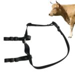 Localizador de ganado V34/V44, dispositivo de seguimiento animal antipérdida, collar con posicionamiento GPS