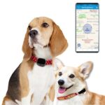 RF-V43 B Estilo IP67 GPS impermeable + LBS + WiFi Localizador de mascotas Dispositivo de seguimiento de collares para mascotas para América del Norte/América del Sur/Australia, RF-V43 B Style (Black)