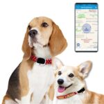 RF-V43 B Estilo IP67 GPS impermeable + LBS + WiFi Localizador de mascotas Dispositivo de seguimiento de collares para mascotas para América del Norte/América del Sur/Australia, RF-V43 B Style (White)