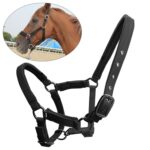 Conjunto de localizador de caballos Dispositivo antipérdida de seguimiento de animales Conjunto de collar de posicionamiento GPS