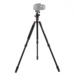 Triopo MT-2504C Trípode de aluminio portátil ajustable con rótula de bola NB-1S para cámara Canon Nikon Sony DSLR, MT-2504C (Gold)