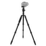 Triopo MT-2805C Trípode de aluminio portátil ajustable con rótula de bola NB-2S para cámara Canon Nikon Sony DSLR, MT-2805C (Gold)